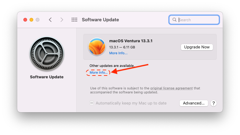 Software Update dialog with other updates available via More Info