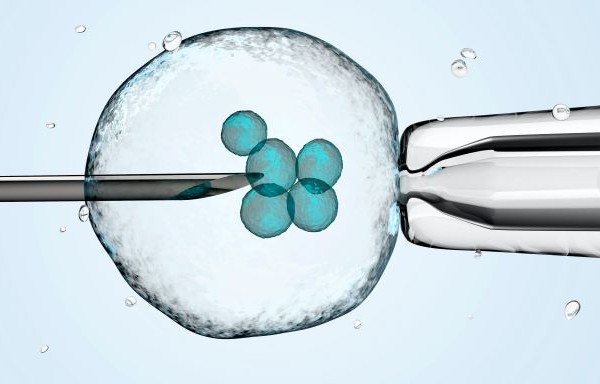 Arjun Raj of the School of Engineering and Applied Science and the Perelman School of Medicine, former postdoc Lee Richman, now of Brigham and Women’s Hospital, and colleagues have developed a new analysis tool that combines a cell’s unique gene expression data with information about the cell’s origins. The method can be applied to identify new cell subsets throughout development and better understand drug resistance.   