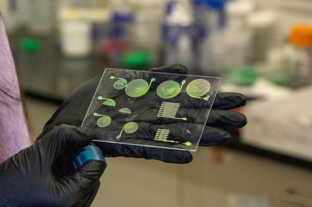 Alicia Ng, Ph.D. student in Materials Science and Engineering (MSE) holds up an array of different structures made with a new, 3D-printed material that changes color when stretched.