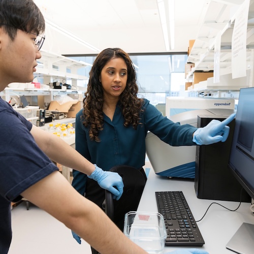 Immune System Combats Heart Disease