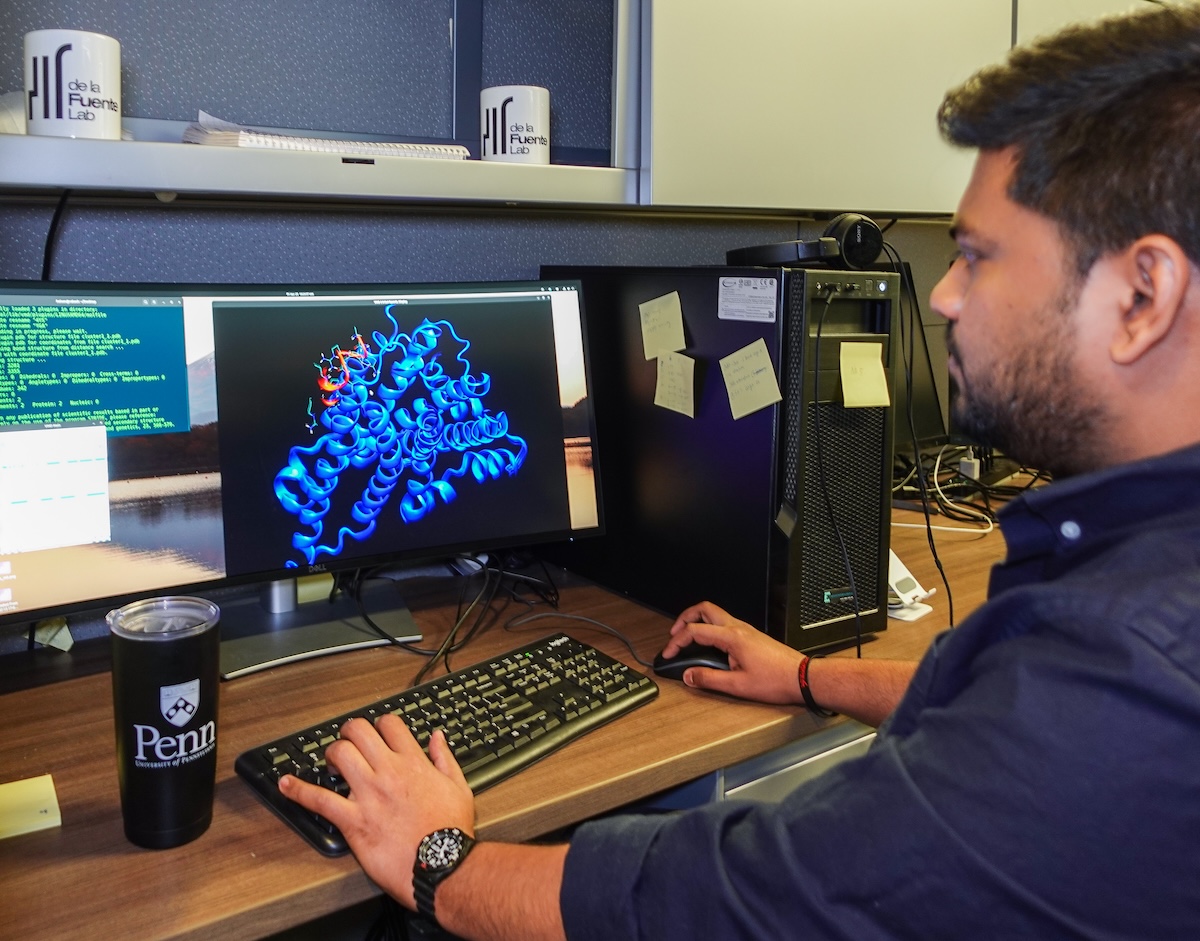 Now, researchers led by César de la Fuente of the Perelman School of Medicine, School of Engineering and Applied Science, and School of Arts & Sciences have developed an artificial intelligence tool for mining genetic elements from ancient molecules to discover new antibiotics.