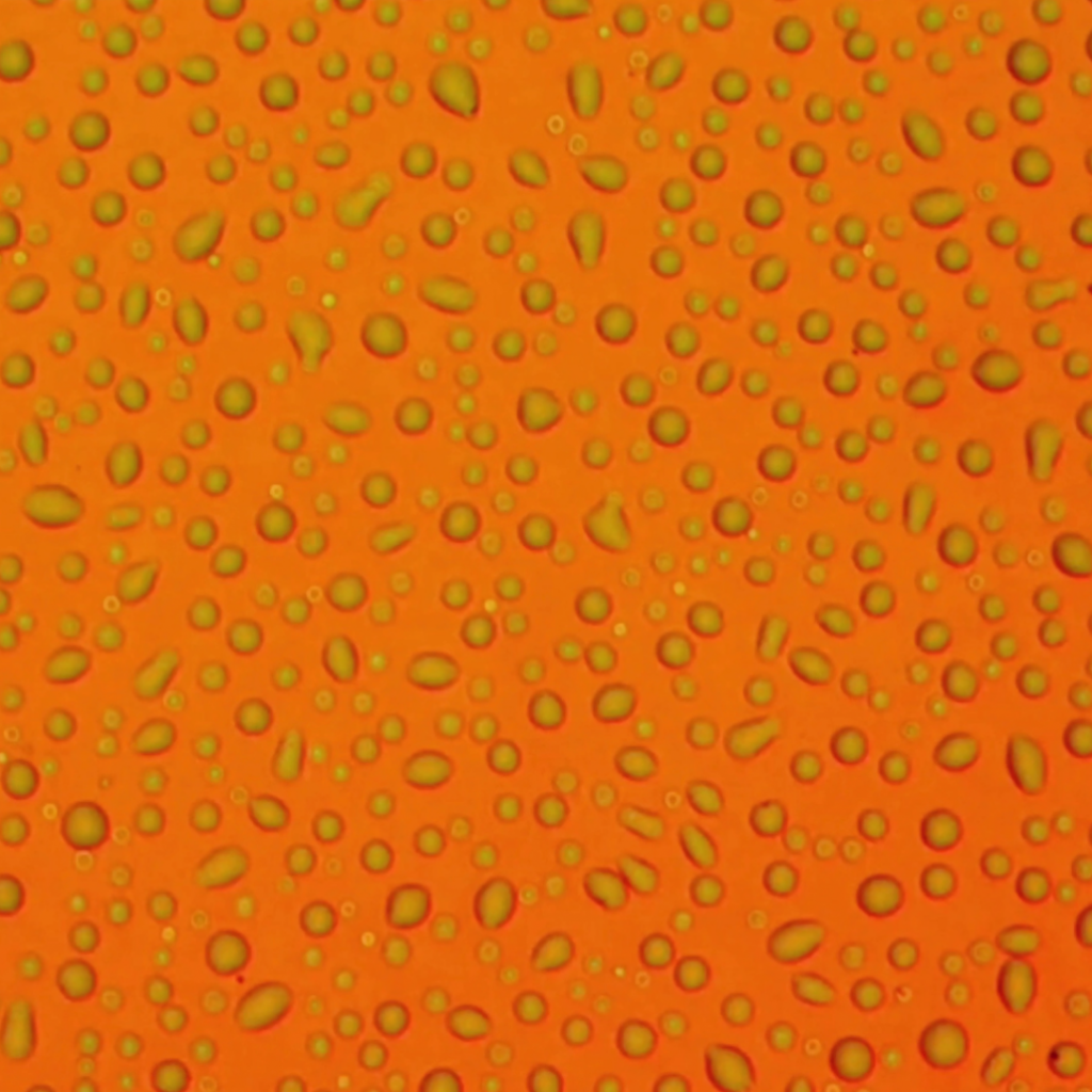 Nanostructured materials passively harvest water from the air