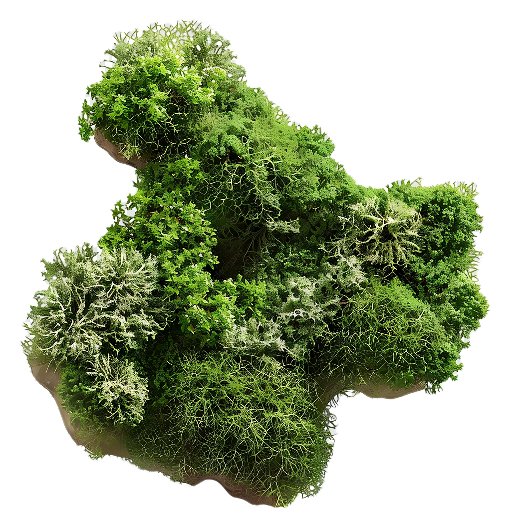 Moss Logo