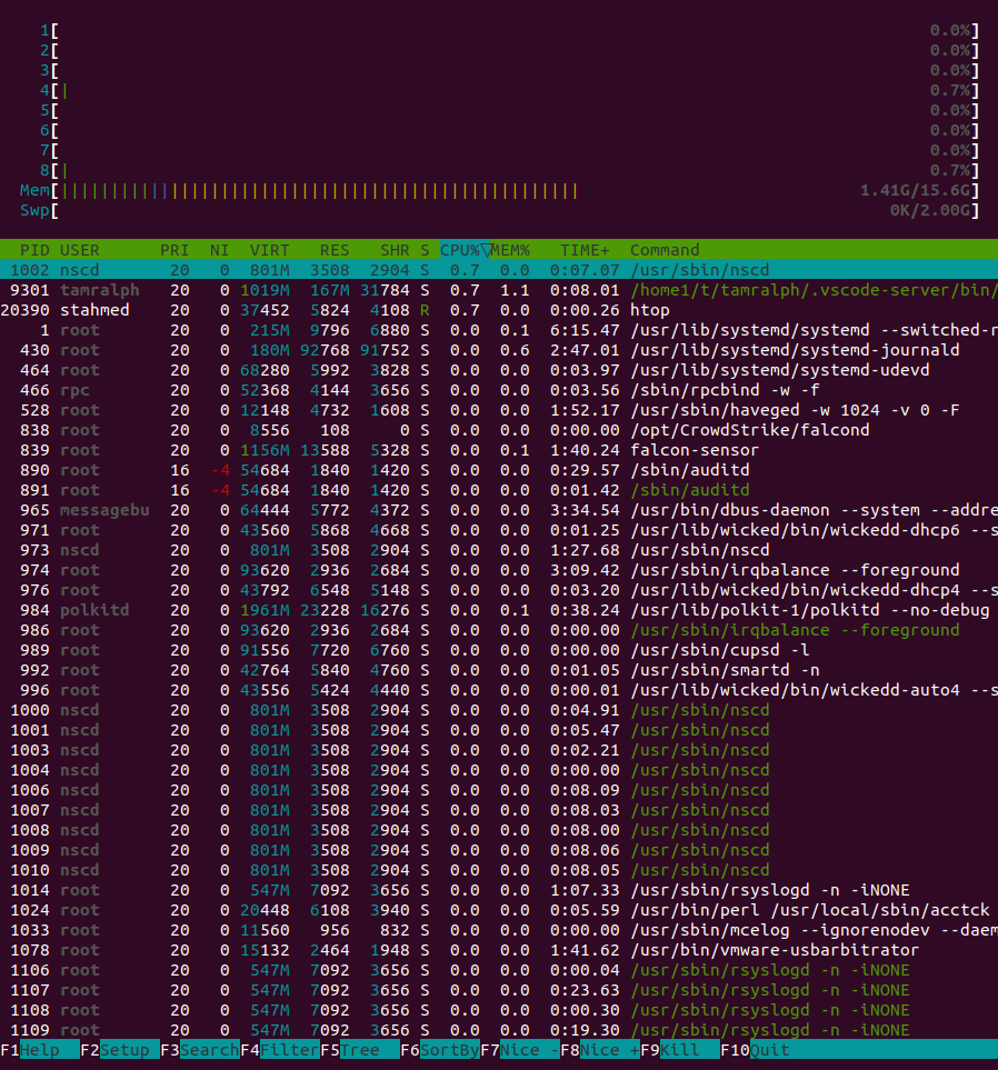 ../_images/htop-init.png