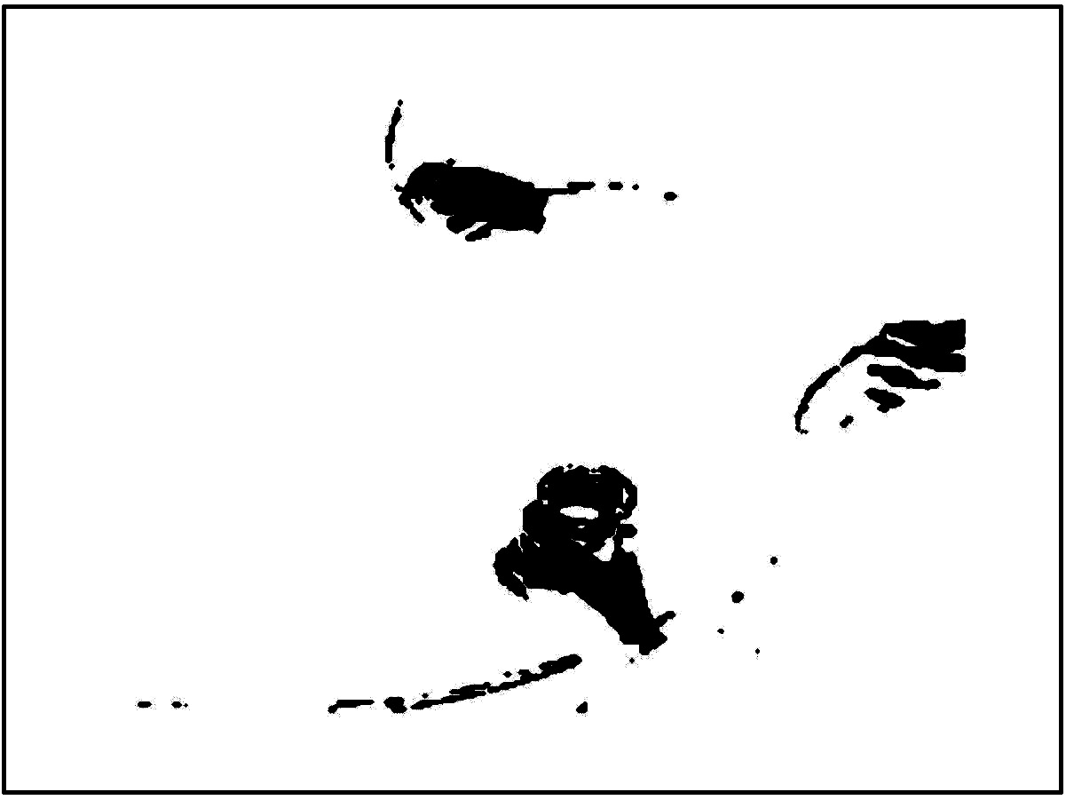 Image bjbw
