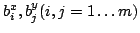 $b^x_i,b^y_j (i,j = 1 \dots m)$