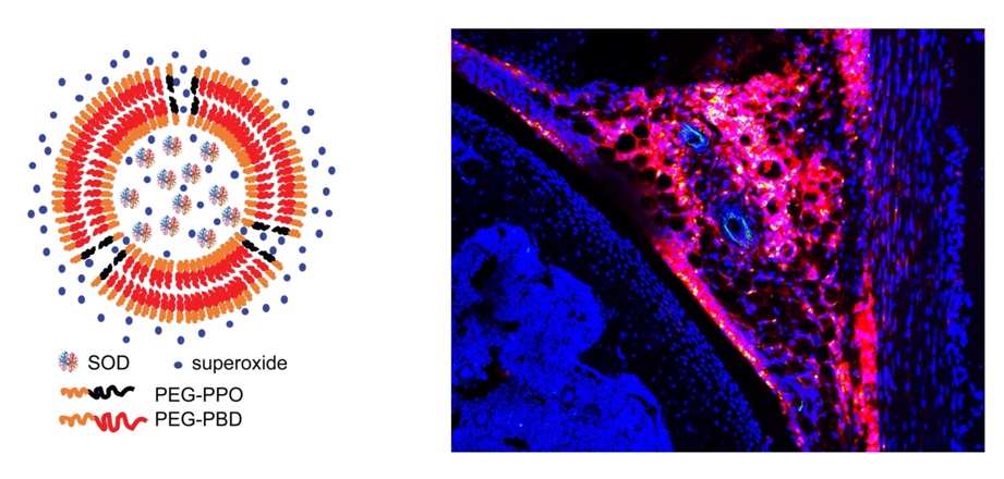 A picture containing text
Description automatically generated