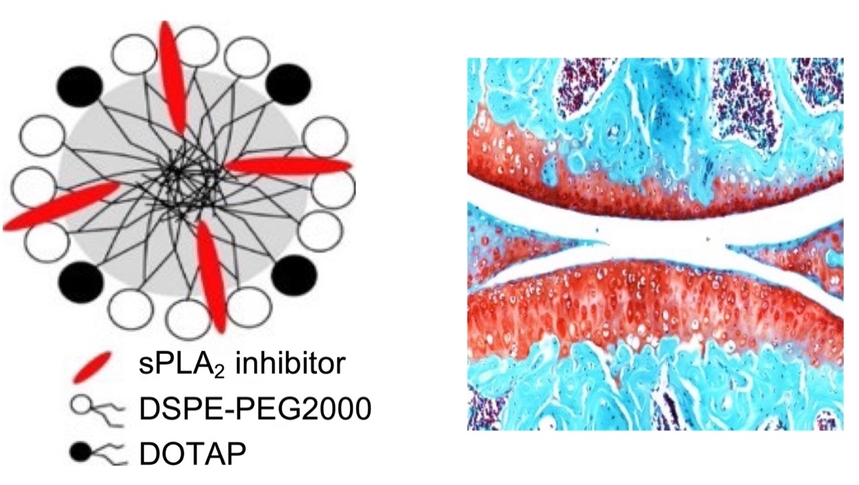 Diagram
Description automatically generated with medium confidence
