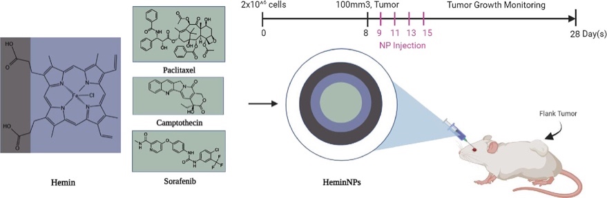 A diagram of a cell membrane
Description automatically generated