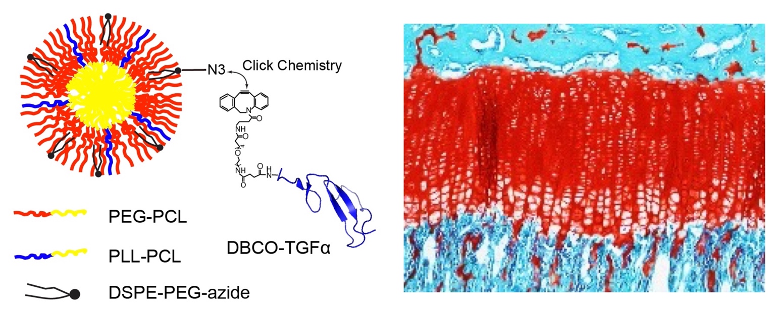 A picture containing text
Description automatically generated