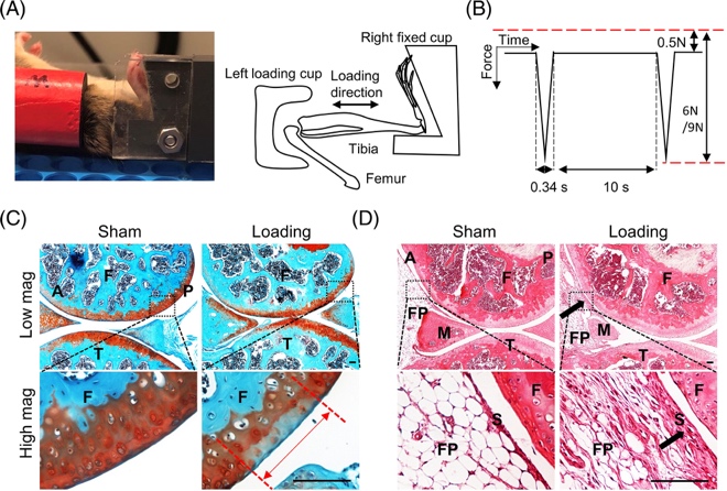 A close-up of a diagram
Description automatically generated