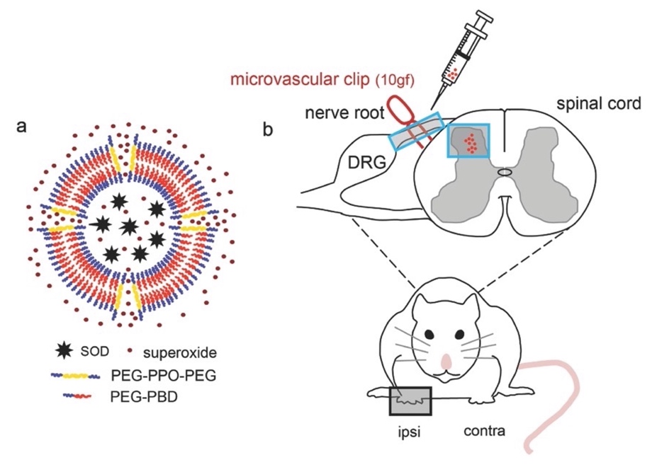 Diagram
Description automatically generated